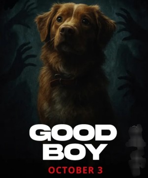 Ilustrasi Film Horor Good Boy.  [Instagram]